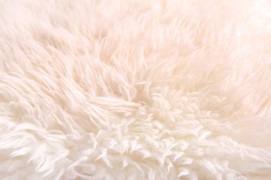 White lambskin as background clipart
