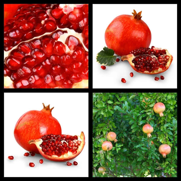 Collage van Granaatappels, granaatappelboom en granen — Stockfoto