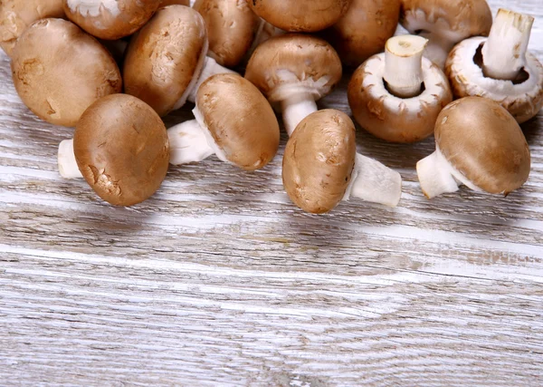 Brown mushroom on white wood background — Stock Photo, Image