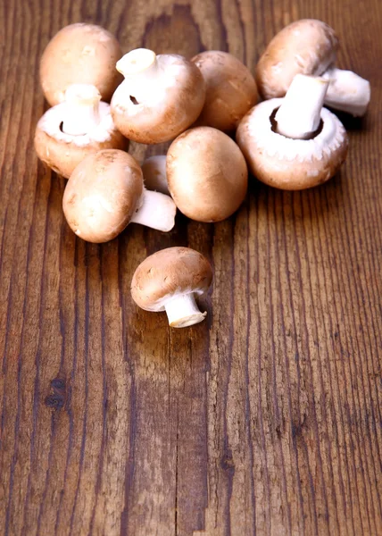 Brown mushroom on wood background — Stock Photo, Image