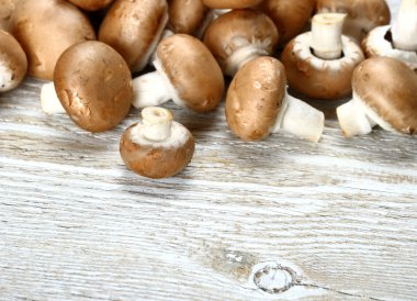 Beyaz ahşap zemin üzerinde kahverengi mantar