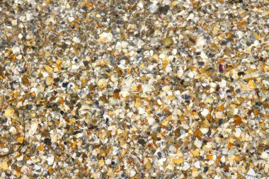 arka plan olarak su altında kırık deniz kabuğu