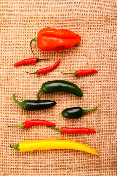 Hot pepper kolekcja na tle juty — Zdjęcie stockowe