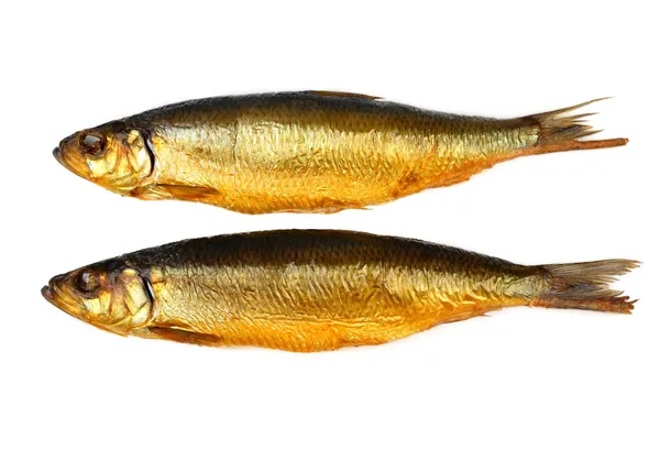 Dois kippers, arenque defumado em fundo branco — Fotografia de Stock