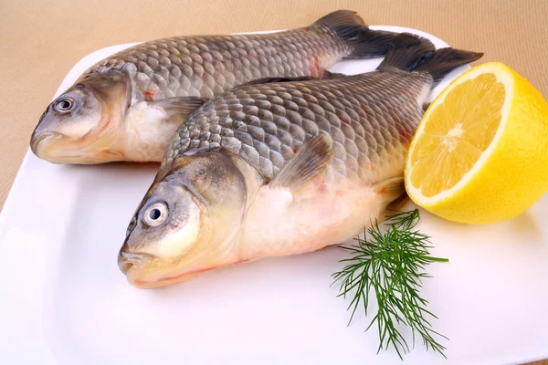 stock image Two fresh carp on white plate with lemon