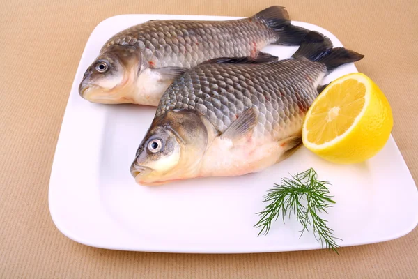 Dos carpas frescas en plato blanco con limón —  Fotos de Stock