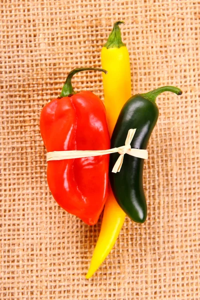 Bundle of Hot pepper varieties of jute background — Stock Photo, Image