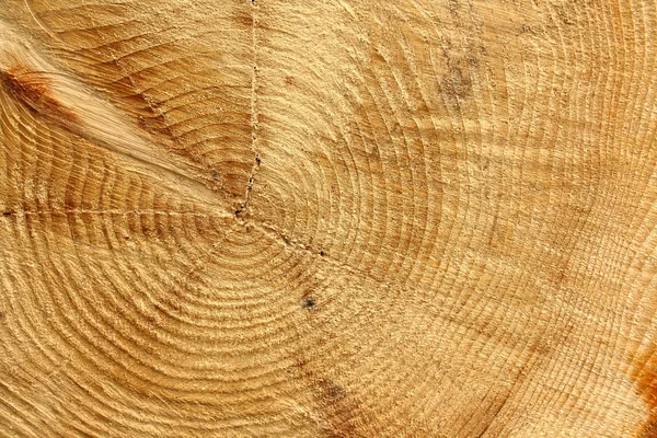 Centro de árboles de madera aserrada como fondo —  Fotos de Stock