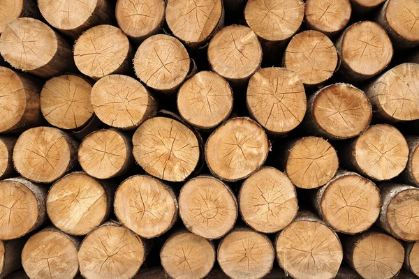 Grande paroi de billes de bois empilées montrant une décoloration naturelle — Photo