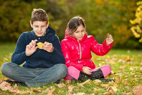 Bambini che giocano con le foglie cadute autunno — Foto Stock