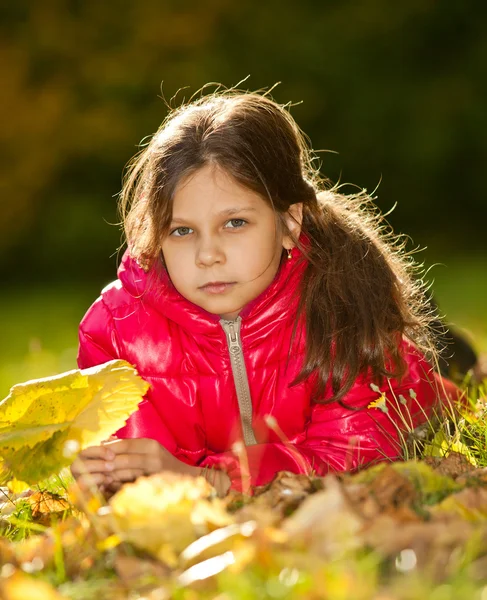 Niños jugando con hojas caídas de otoño — Foto de Stock