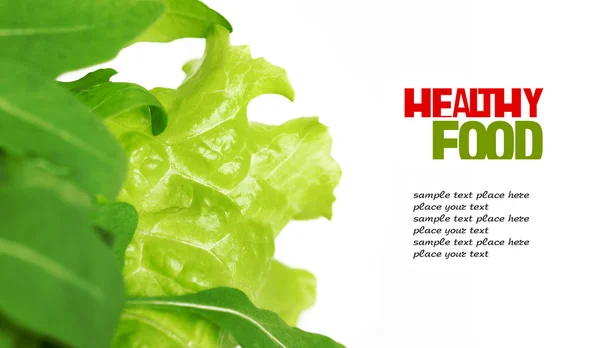 Fresh green Lettuce salad on white isolated background — Stock Photo, Image