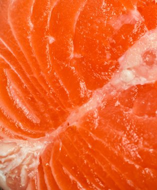 Somon steak çiğ kırmızı balık