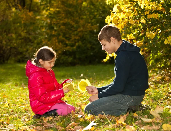 Niños jugando con hojas caídas de otoño — Foto de Stock