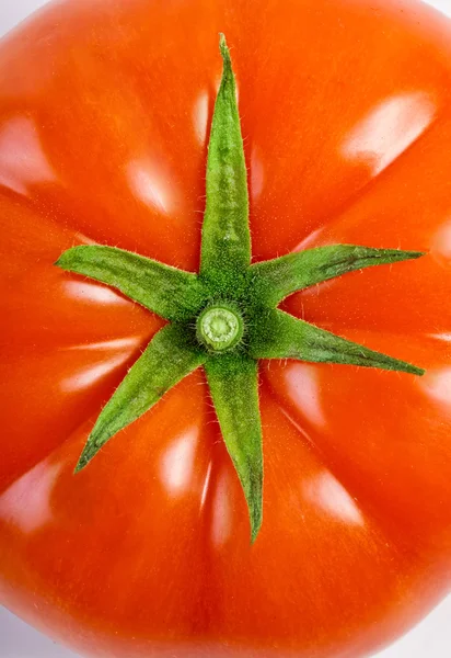 Tomato on white — Stock Photo, Image