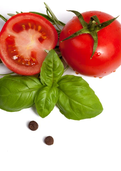 Tomatoes and basil — Stock Photo, Image