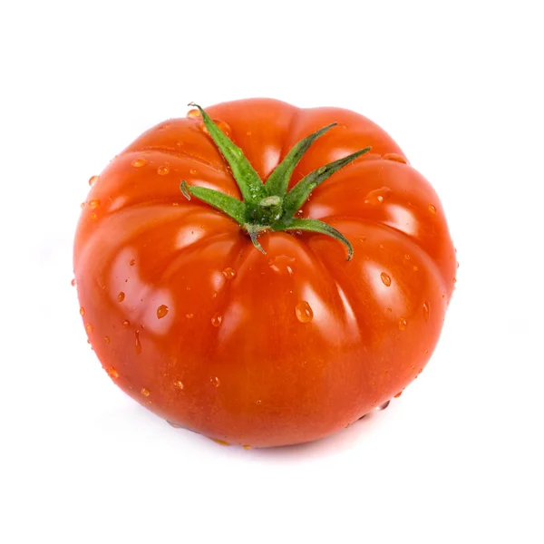 Tomato on white — Stock Photo, Image