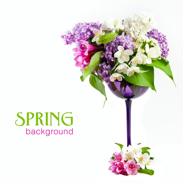 Beautiful spring flowers on a white background — Stock Photo, Image