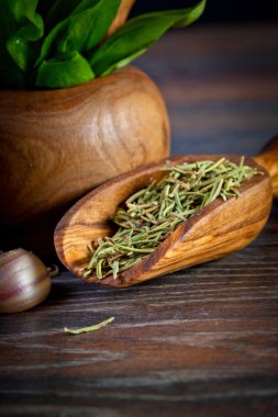 Macro composition of Italian cooking ingredients, garlic, rosema