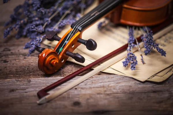 Composição vintage com violino e lavanda — Fotografia de Stock