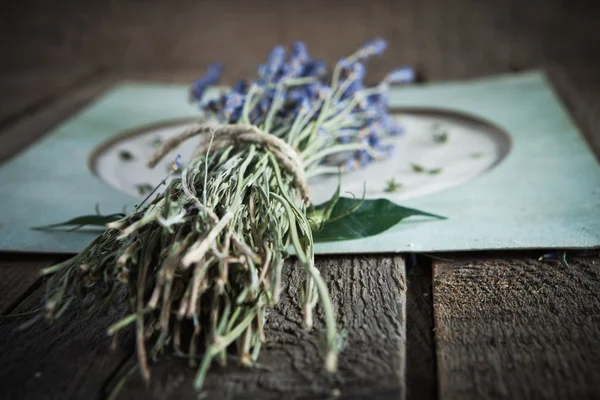 Lavendelblüten auf Vintage-Hintergrund — Stockfoto