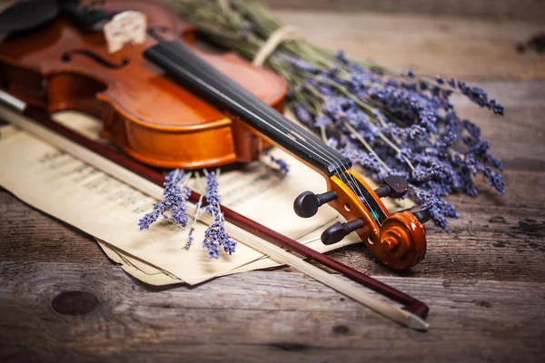 Винтажная композиция со скрипкой и лавандой — стоковое фото