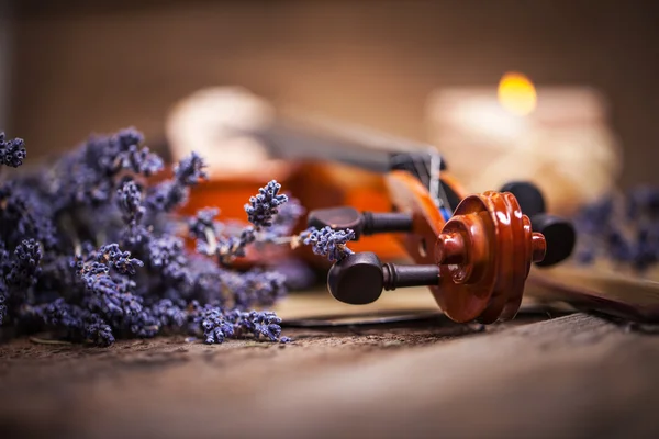 Composição vintage com violino e lavanda — Fotografia de Stock