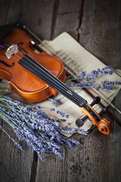 Винтажная композиция со скрипкой и лавандой — стоковое фото