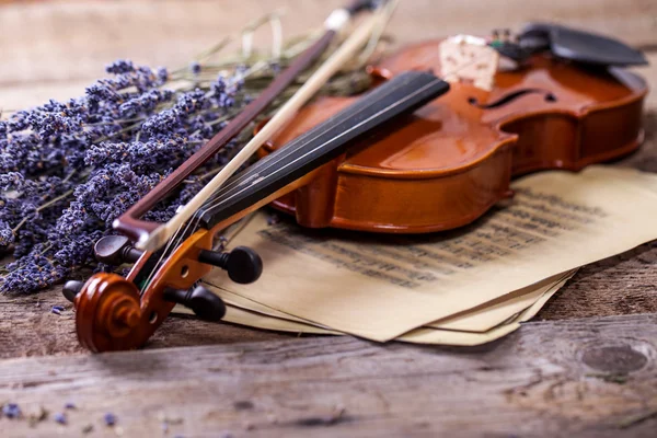 Composição vintage com violino e lavanda — Fotografia de Stock