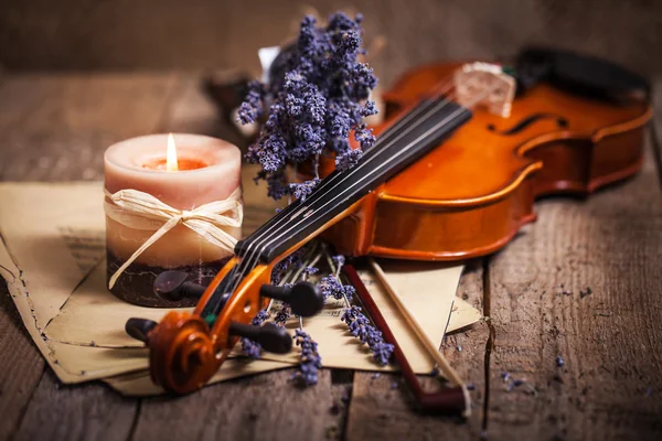 Composição vintage com violino e lavanda — Fotografia de Stock