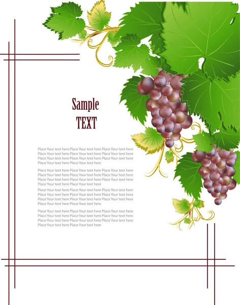 Grape frame — Stock Photo, Image