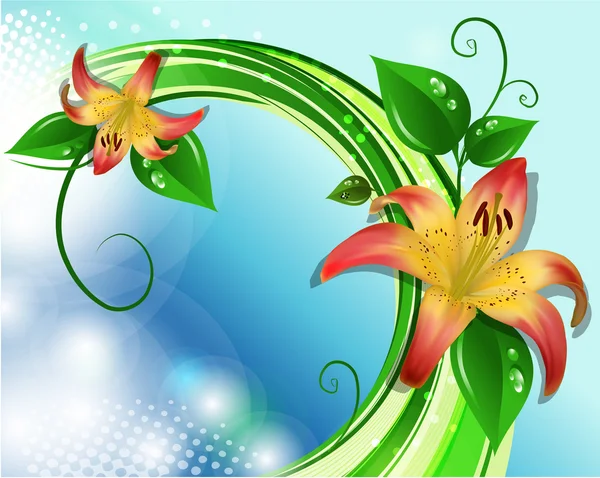Vektor illustration av blommande liljor — Stock vektor