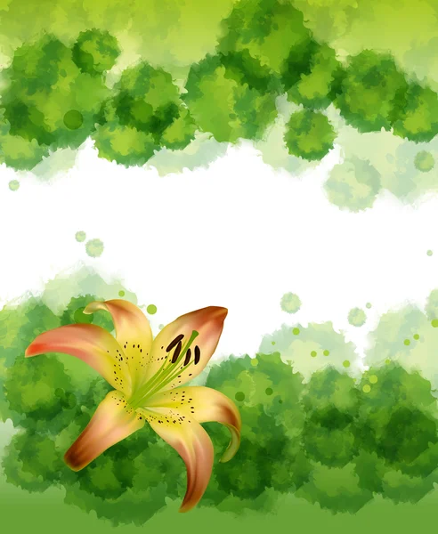 花咲くユリのベクトル イラスト — ストックベクタ
