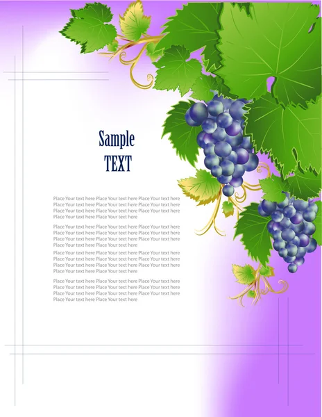 Cluster of grapes — Stock Vector