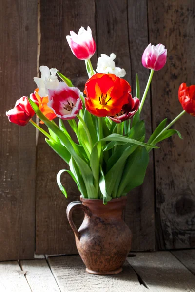 Flores de tulipán — Foto de Stock