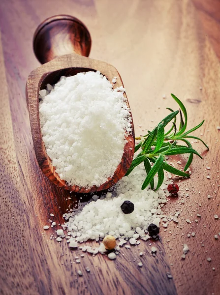 Соль и специи — стоковое фото