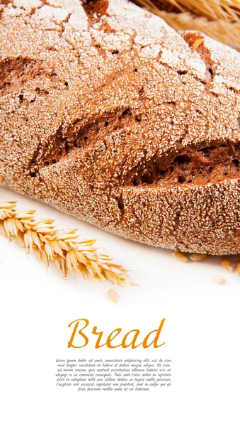 Bread with space for text — Stock Photo, Image