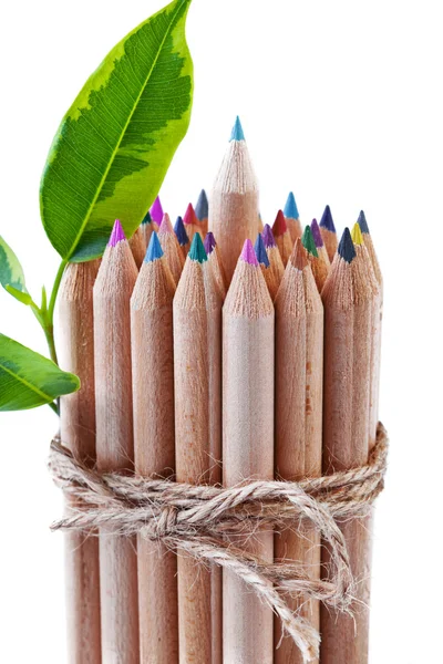 Color pencils — Stock Photo, Image