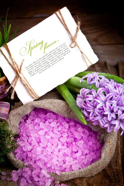 Kwiaty Hiacynty — Zdjęcie stockowe