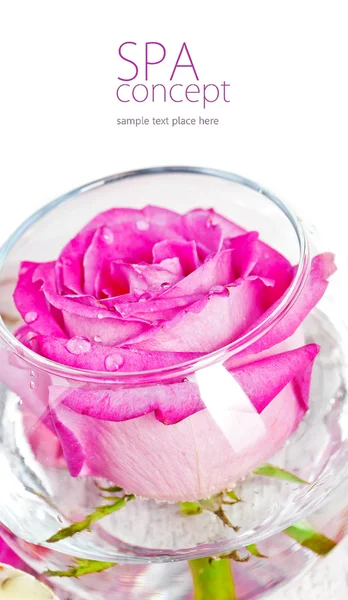Sal marina, rosa, jabón y una vela —  Fotos de Stock