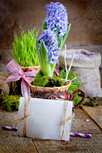 Hyacinths and sea salt — Stock Photo, Image