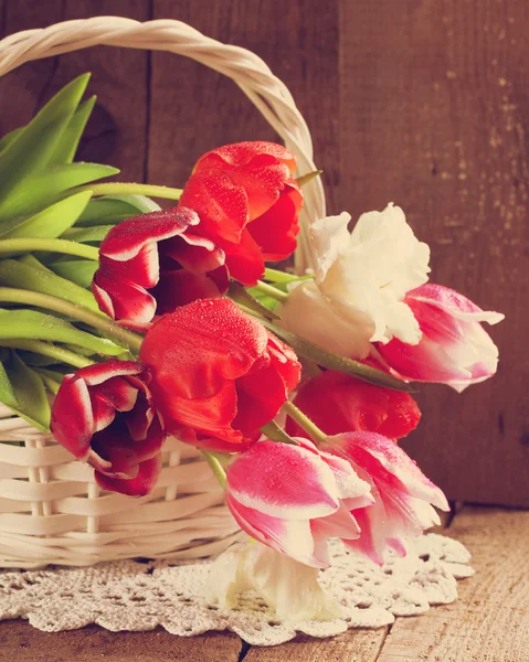 Kwiatów tulipanów — Zdjęcie stockowe