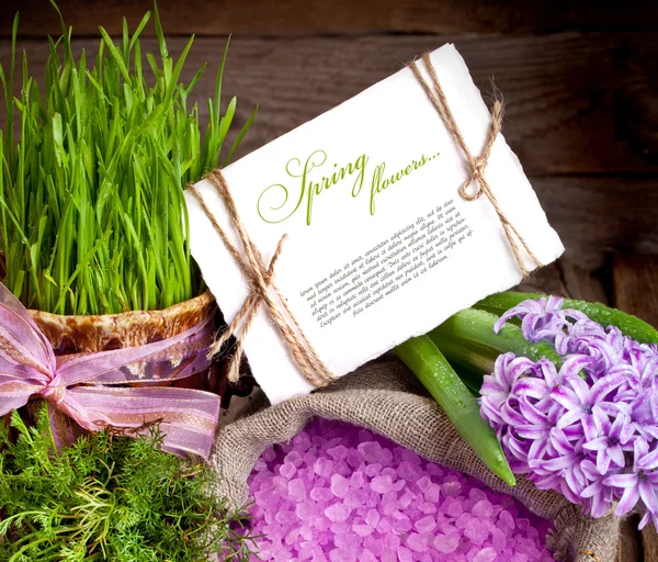 Hyacinths and sea salt — Stock Photo, Image