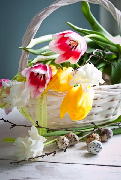 Flores de tulipa e ovos de codorna — Fotografia de Stock