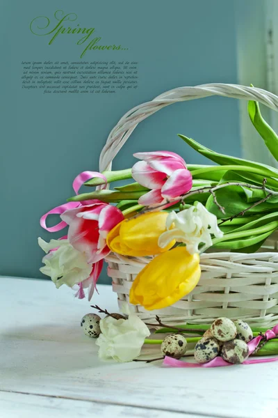 Τουλίπα λουλούδια και ορτύκια αυγά — Φωτογραφία Αρχείου