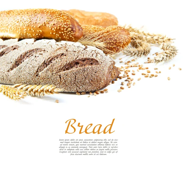 Ekmek farklı türleri — Stok fotoğraf