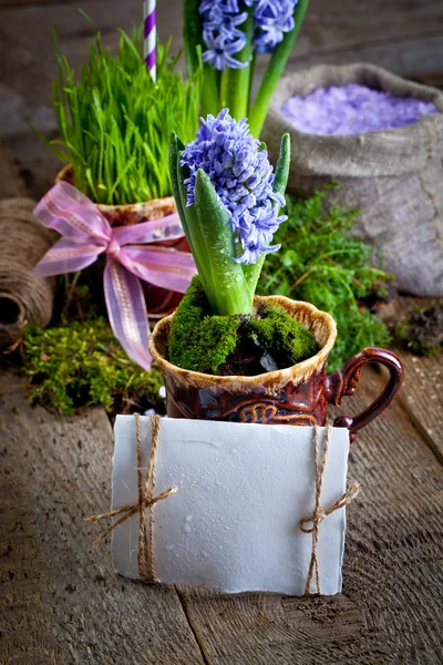 Hyazinthen und Meersalz — Stockfoto