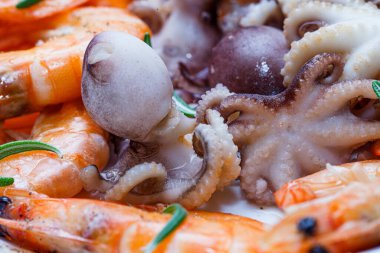 İki çeşit taze deniz ürünleri karidesi, ahtapot.