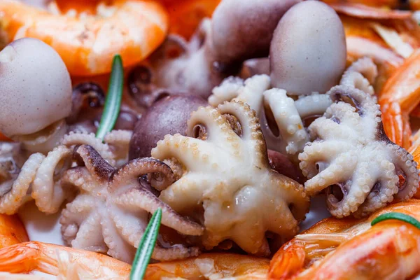 Zwei Arten Von Frisch Zubereiteten Meeresfrüchten Garnelen Kraken Stockbild