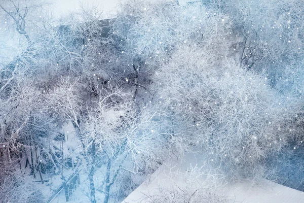 Frosty Winter Landscape Snowy Forest Cold Winter Weather Christmas Background Stockbild